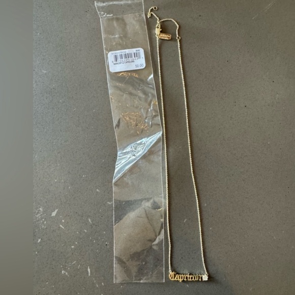 Melinda Maria Zodiac Script Pendant Necklace 18K Gold Plated CZ Stone- Capricorn - Picture 3 of 4